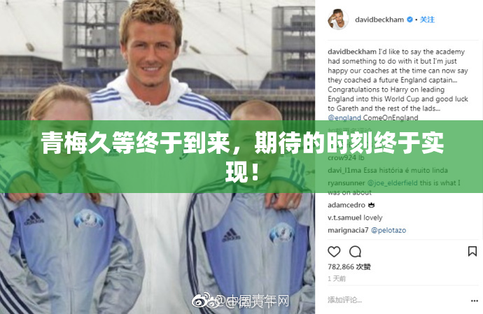 青梅久等终于到来，期待的时刻终于实现！