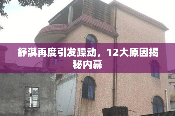 舒淇再度引发躁动，12大原因揭秘内幕