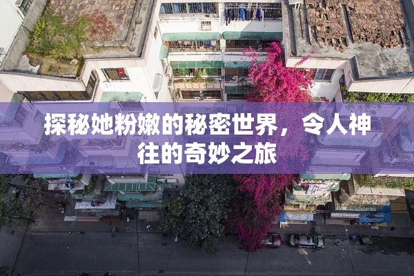 探秘她粉嫩的秘密世界，令人神往的奇妙之旅