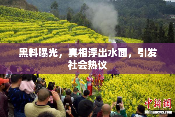 黑料曝光，真相浮出水面，引发社会热议