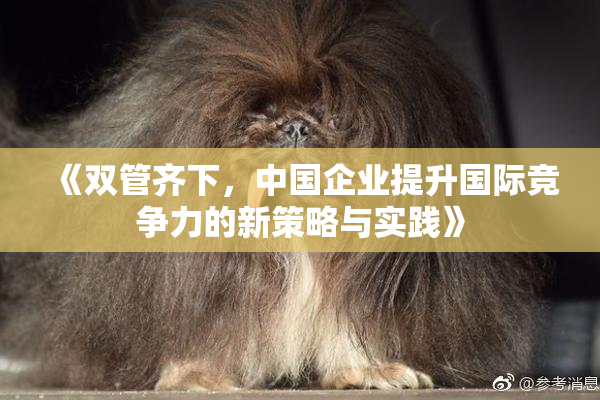 《双管齐下，中国企业提升国际竞争力的新策略与实践》