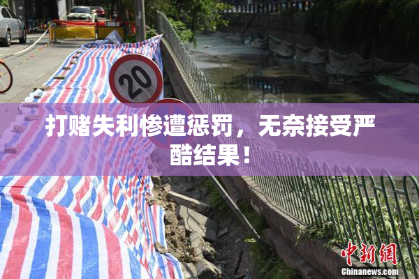 打赌失利惨遭惩罚，无奈接受严酷结果！