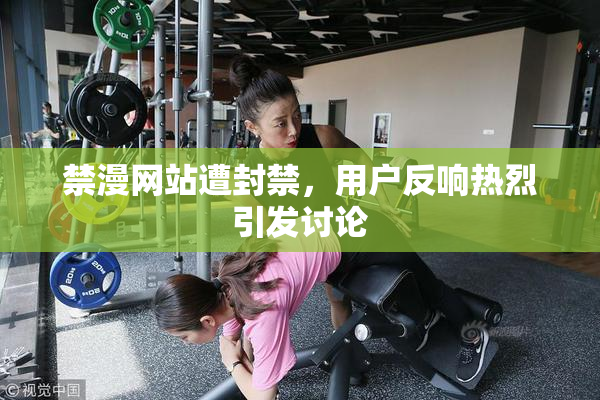 禁漫网站遭封禁，用户反响热烈引发讨论