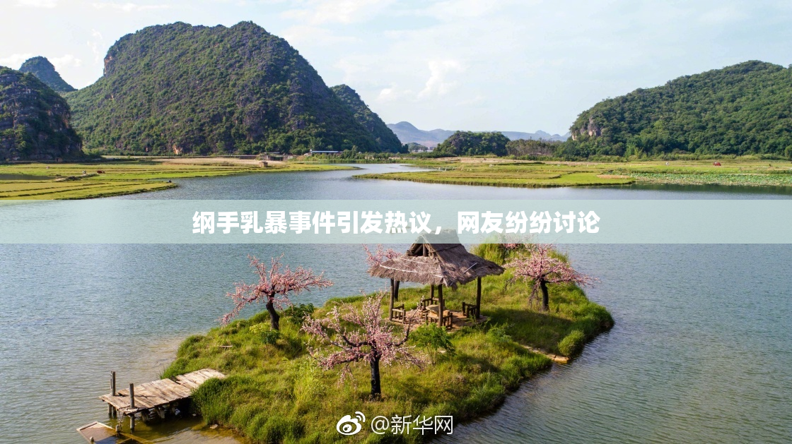 纲手乳暴事件引发热议，网友纷纷讨论