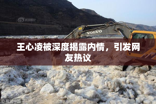 王心凌被深度揭露内情，引发网友热议