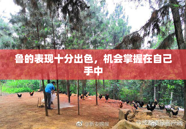 鲁的表现十分出色，机会掌握在自己手中