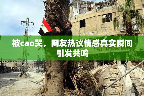 被cao哭，网友热议情感真实瞬间引发共鸣