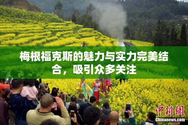 梅根福克斯的魅力与实力完美结合，吸引众多关注