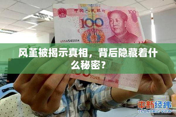 风堇被揭示真相，背后隐藏着什么秘密？