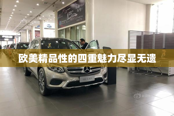 欧美精品性的四重魅力尽显无遗