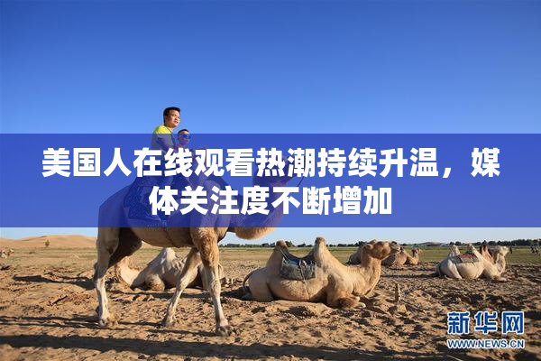 美国人在线观看热潮持续升温，媒体关注度不断增加