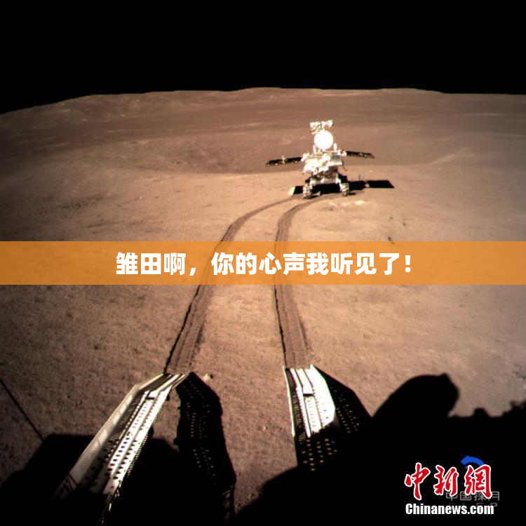 雏田啊，你的心声我听见了！