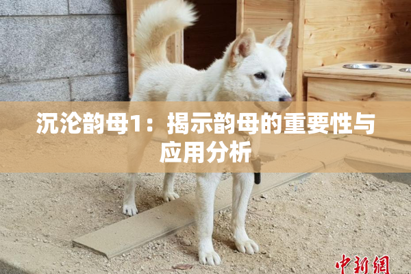 沉沦韵母1：揭示韵母的重要性与应用分析