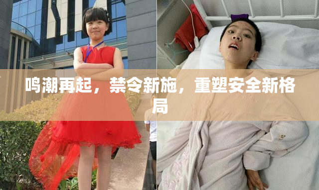 鸣潮再起，禁令新施，重塑安全新格局