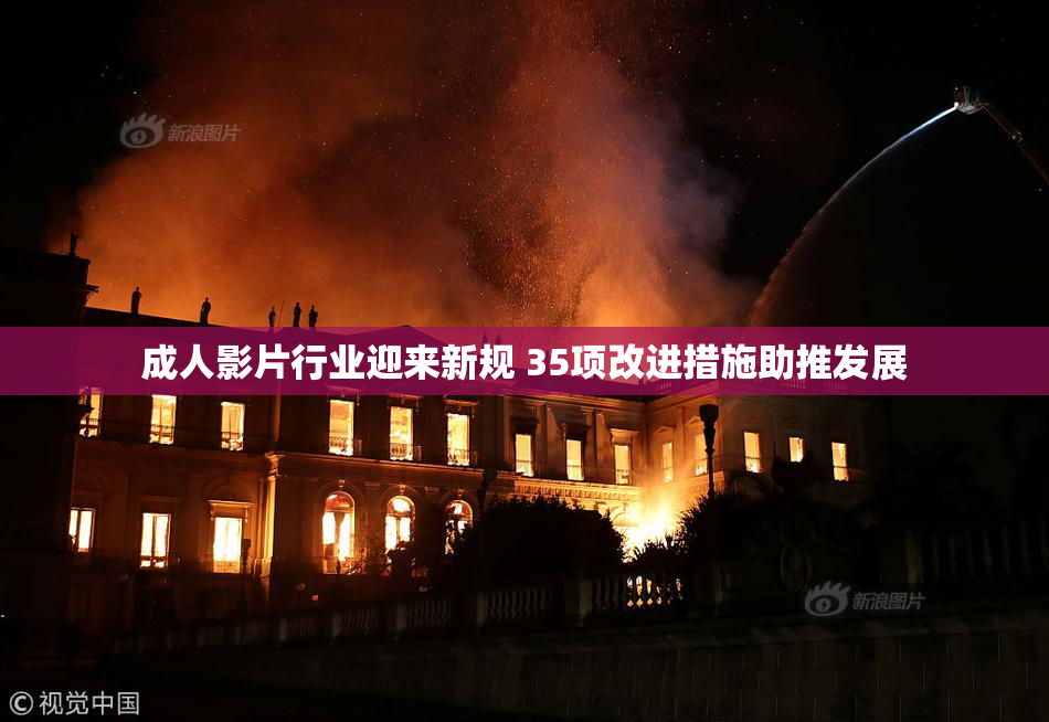 成人影片行业迎来新规 35项改进措施助推发展