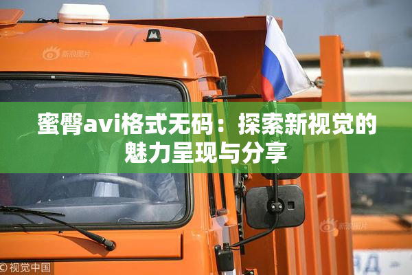 蜜臀avi格式无码：探索新视觉的魅力呈现与分享