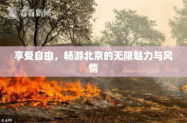 享受自由，畅游北京的无限魅力与风情