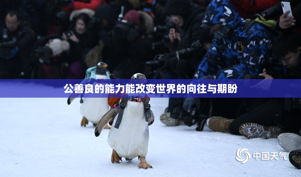 公善良的能力能改变世界的向往与期盼
