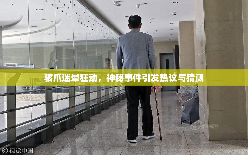骇爪迷晕狂动，神秘事件引发热议与猜测