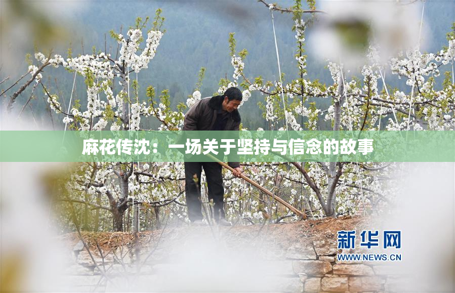麻花传沈：一场关于坚持与信念的故事