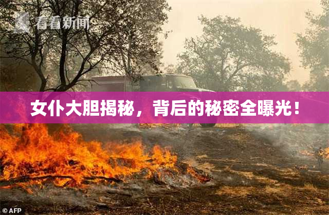 女仆大胆揭秘，背后的秘密全曝光！