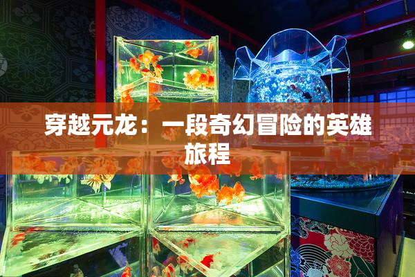 穿越元龙：一段奇幻冒险的英雄旅程