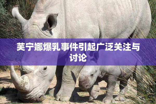 芙宁娜爆乳事件引起广泛关注与讨论