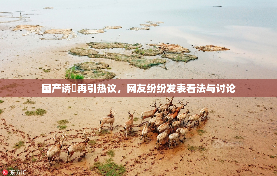 国产诱奷再引热议，网友纷纷发表看法与讨论