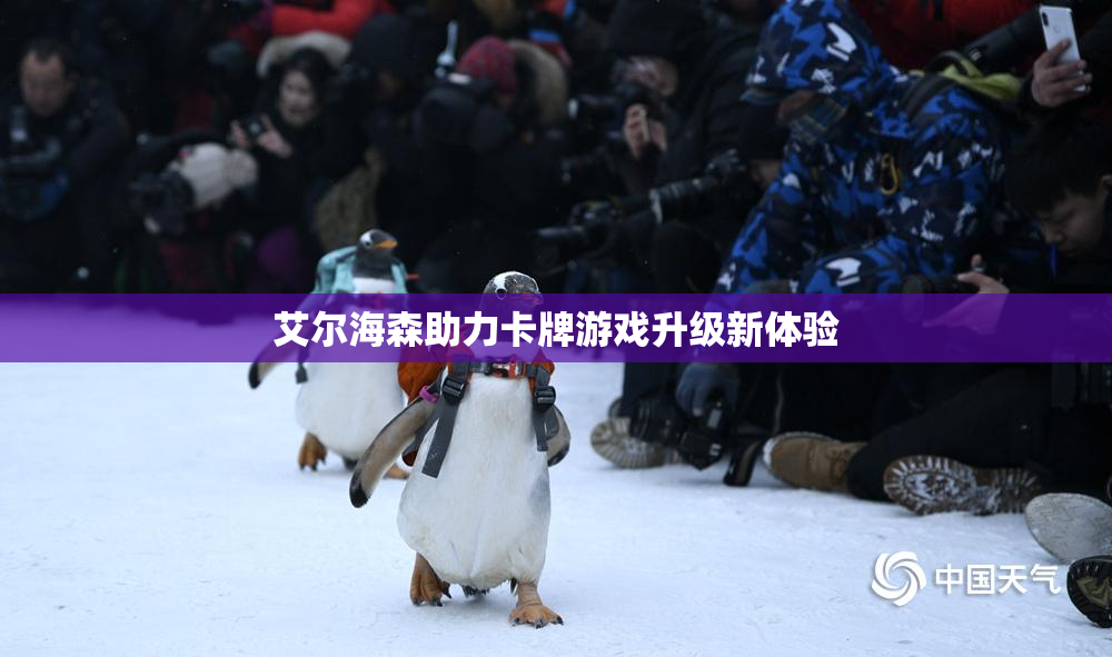 艾尔海森助力卡牌游戏升级新体验