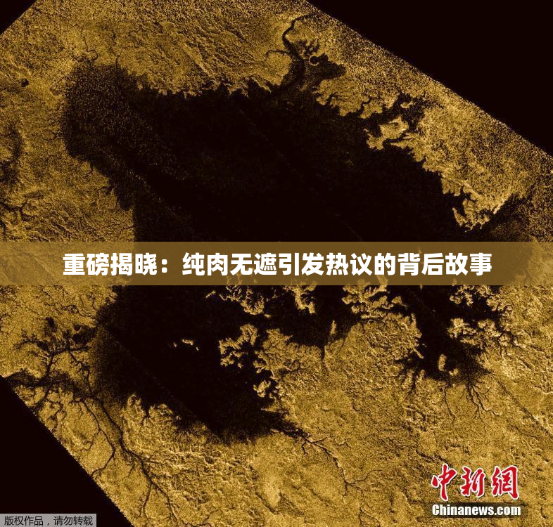 重磅揭晓：纯肉无遮引发热议的背后故事
