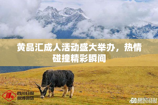黄品汇成人活动盛大举办，热情碰撞精彩瞬间