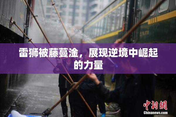 雷狮被藤蔓淦，展现逆境中崛起的力量