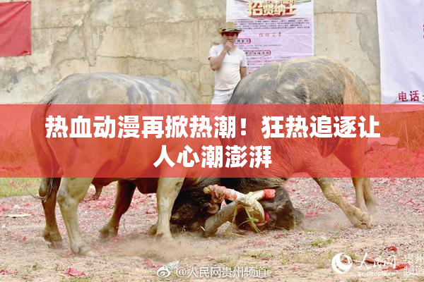 热血动漫再掀热潮！狂热追逐让人心潮澎湃