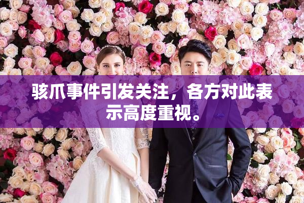 骇爪事件引发关注，各方对此表示高度重视。