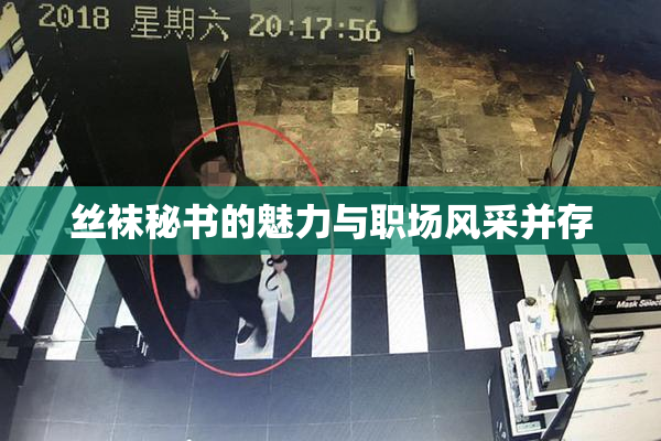 丝袜秘书的魅力与职场风采并存