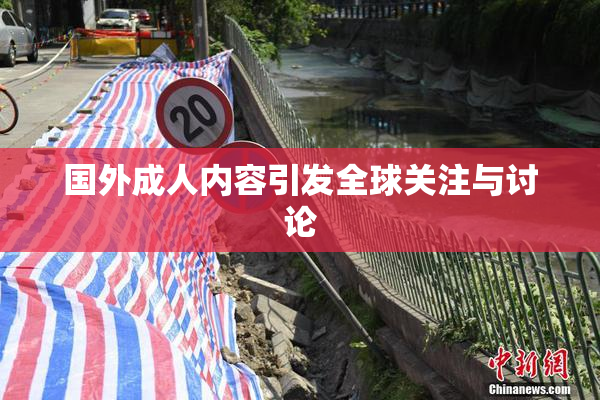 国外成人内容引发全球关注与讨论