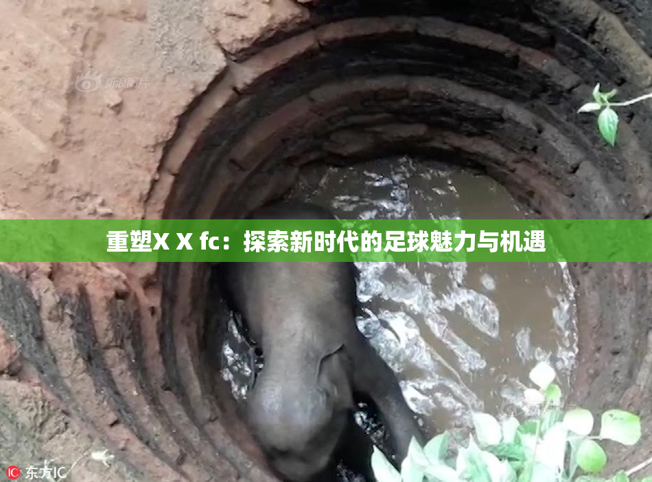 重塑X X fc：探索新时代的足球魅力与机遇