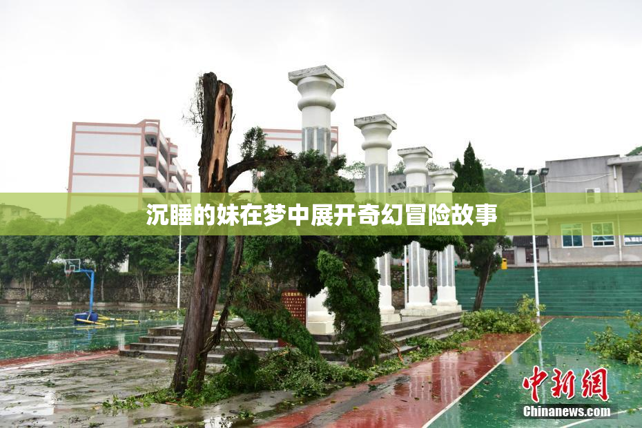 沉睡的妹在梦中展开奇幻冒险故事
