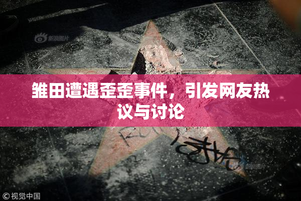 雏田遭遇歪歪事件，引发网友热议与讨论