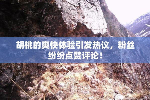 胡桃的爽快体验引发热议，粉丝纷纷点赞评论！