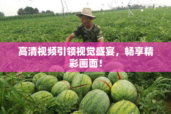 高清视频引领视觉盛宴，畅享精彩画面！