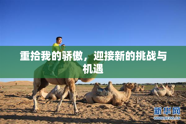 重拾我的骄傲，迎接新的挑战与机遇