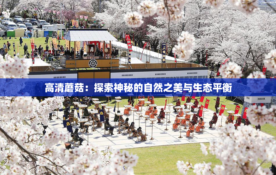 高清蘑菇：探索神秘的自然之美与生态平衡