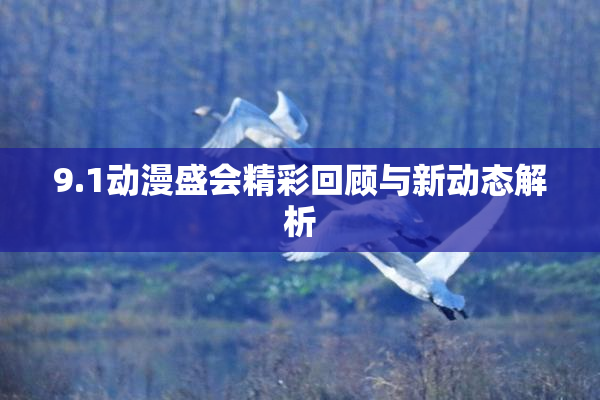 9.1动漫盛会精彩回顾与新动态解析