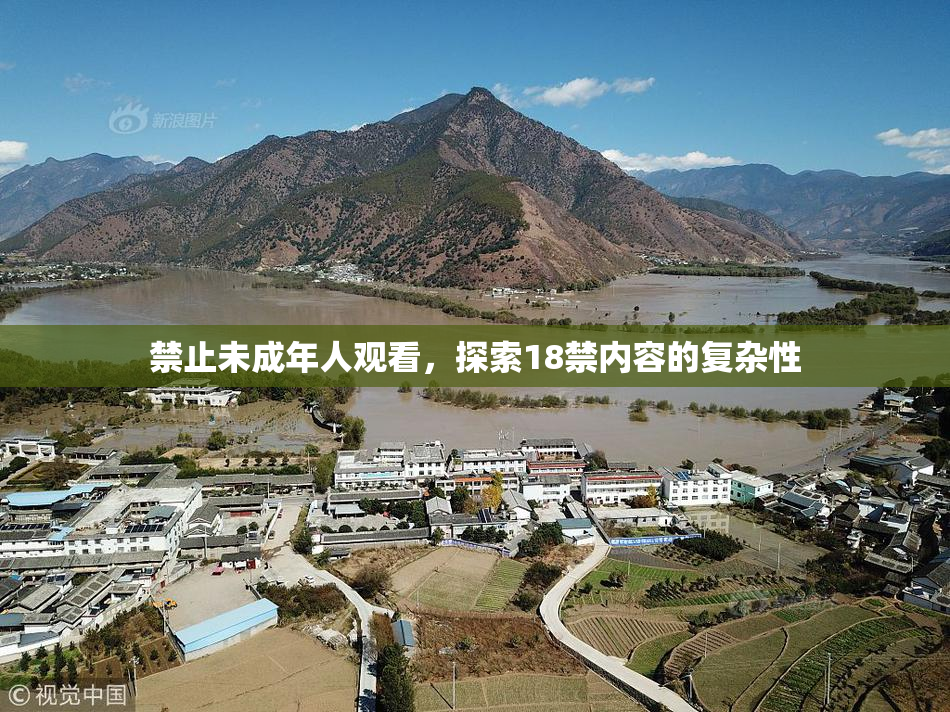 禁止未成年人观看，探索18禁内容的复杂性