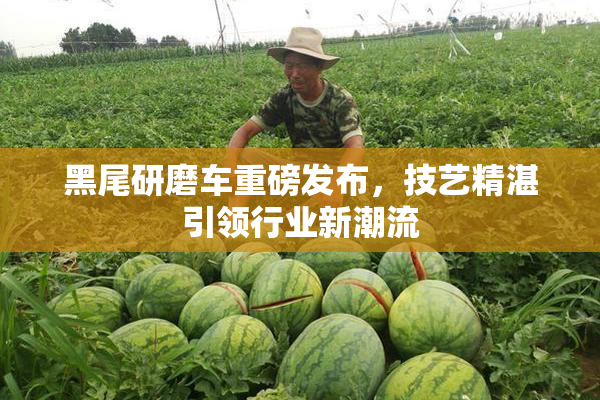 黑尾研磨车重磅发布，技艺精湛引领行业新潮流