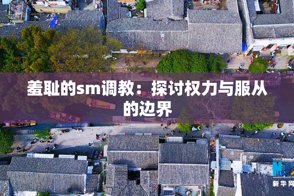 羞耻的sm调教：探讨权力与服从的边界