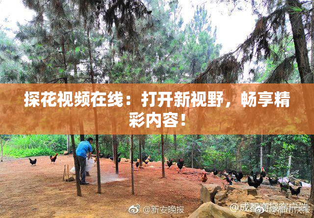 探花视频在线：打开新视野，畅享精彩内容！