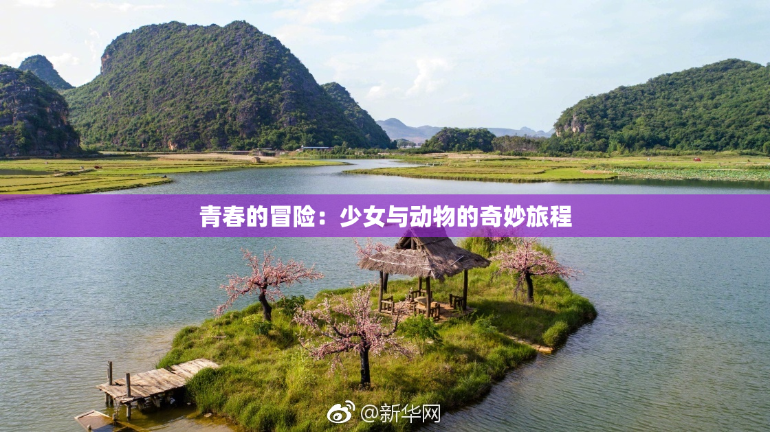 青春的冒险：少女与动物的奇妙旅程