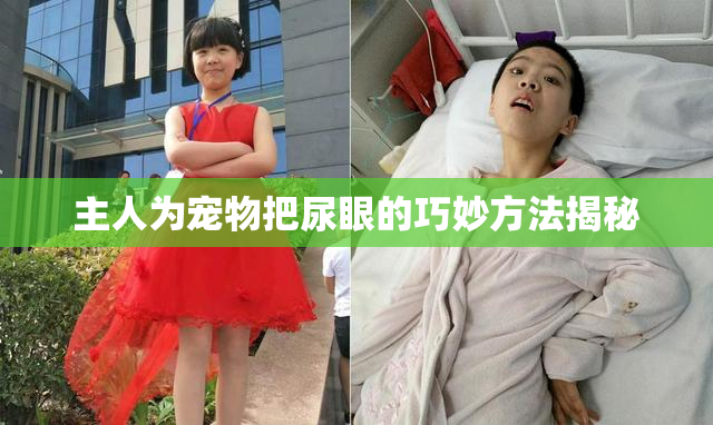 主人为宠物把尿眼的巧妙方法揭秘